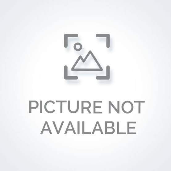 Zebra (2025) (Hindi + Telugu) Dual Audio UnCut South Movie HD ESub
